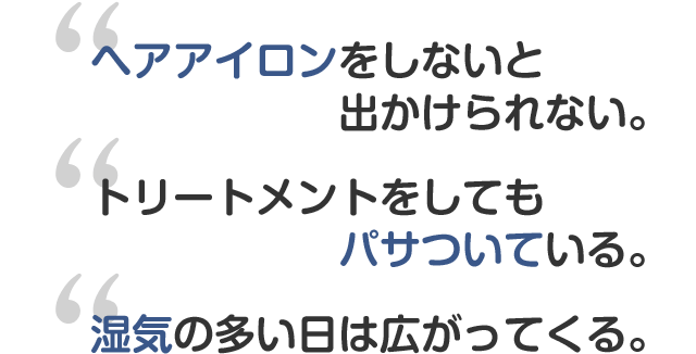 「ヘアアイロンをしないと出かけられない。」「トリートメントをしてもパサついている。」「湿気の多い日は広がってくる。」